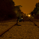 Illustration for article titled Shooting Challenge Gallery: Leading Lines 1